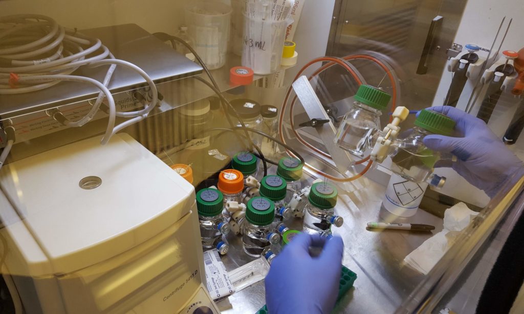 ResearchBIOREMEDIATION Rowe Lab